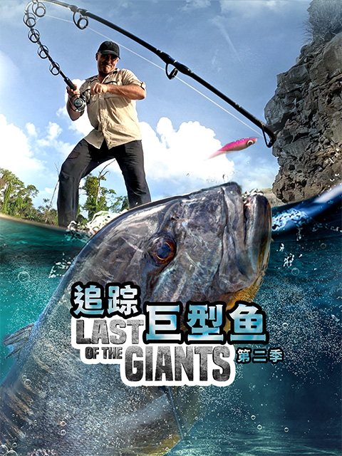 追踪巨型鱼第二季(2015)海报