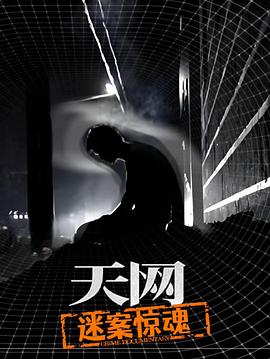天网:迷案惊魂(2025)海报