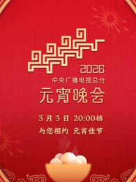 2026年中央广播电视总台元宵晚会(2026)海报