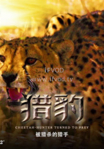 獵豹·被捕殺的獵手(2020)海報