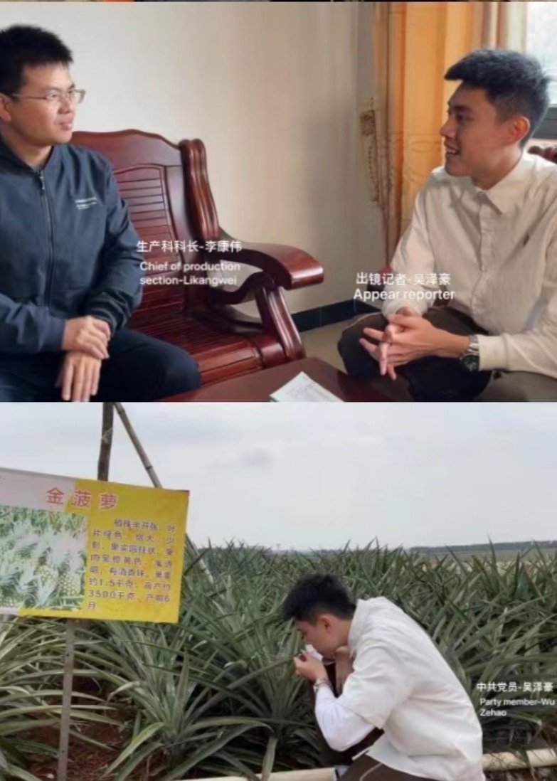 走近湛江专题纪录片-《徐闻菠萝的前世今生》吴泽豪2022毕业设计海报
