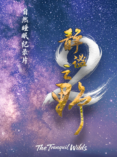 靜謐之野第二季(2025)海報