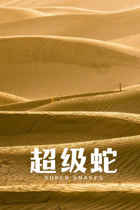 超级蛇(2023)海报