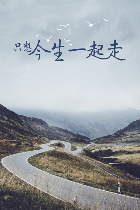只想今生一起走(2017)海報