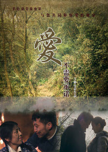 愛不需要承諾(2011)海報