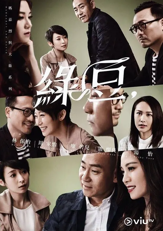 玛嘉烈与大卫绿豆粤语(2016)海报