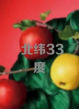 北纬33度(2010)海报