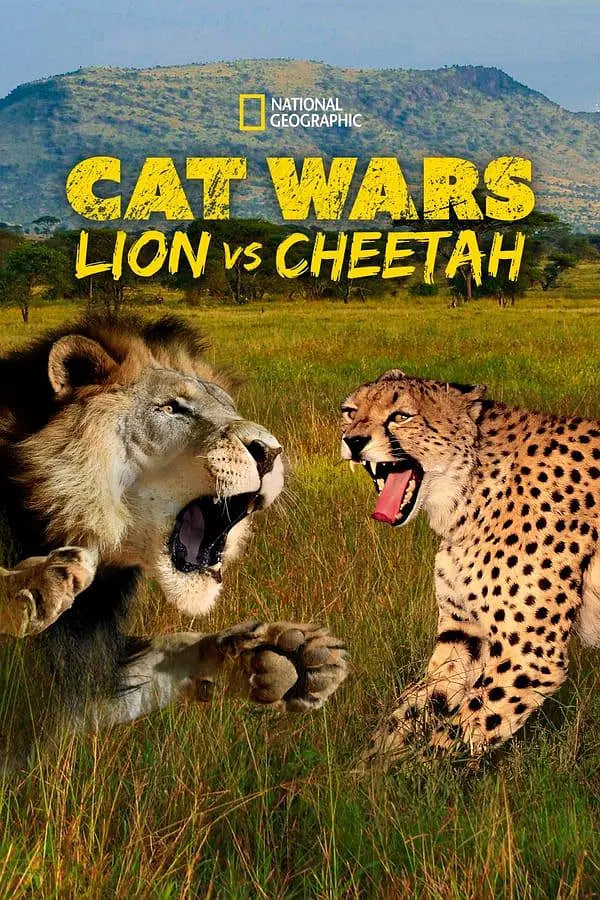 搜尋 貓科大戰:獅子VS獵豹(2011)海報