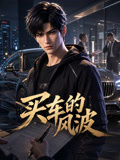 买车的风波(2026)海报