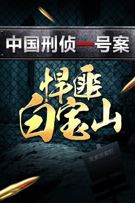 中国刑侦一号案:悍匪白宝山(2021)海报