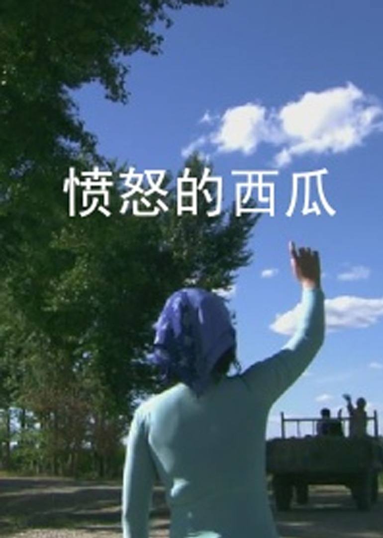 憤怒的西瓜(2011)海報