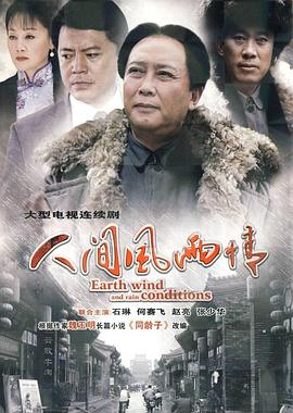 人間風雨情(2010)海報