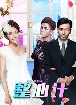 整心計(2017)海報
