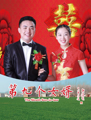 第九个女婿(2017)海报