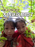 大钱小钱my的2026年合集(2026)海报