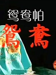 鴛鴦帕(1966)海報