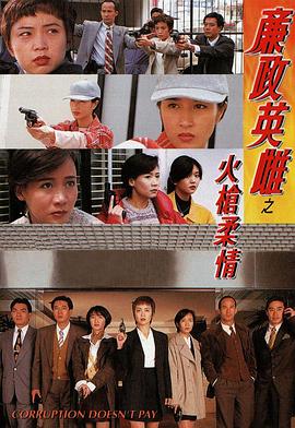 廉政英雌之火槍柔情國語(1995)海報