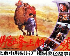 駝峰上的愛(1985)海報
