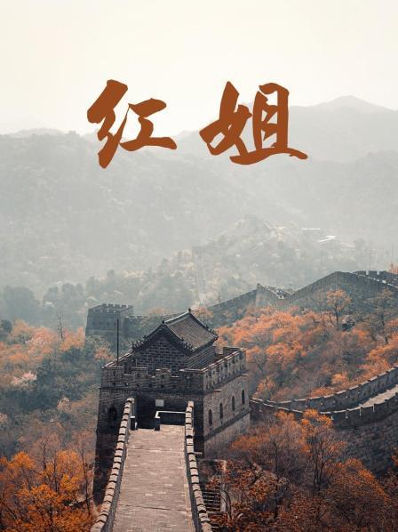 红姐2017(2017)海报
