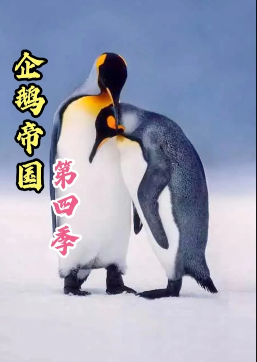 企鹅帝国海报