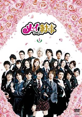 我的帅管家国语(2009)海报
