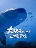 大块头与小不点:动物奇观-配音版(2026)海报