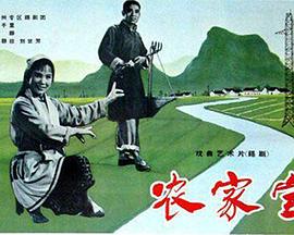 农家宝(1965)海报