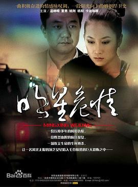 明星危情(2009)海报