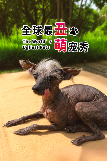 全球最醜萌寵秀(2025)海報