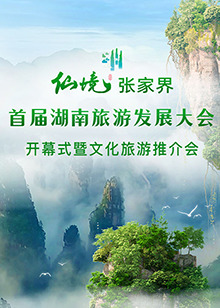 首屆湖南旅遊發展大會開幕式暨文化旅遊推介會(2022)海報