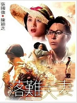 落难夫妻(1994)海报