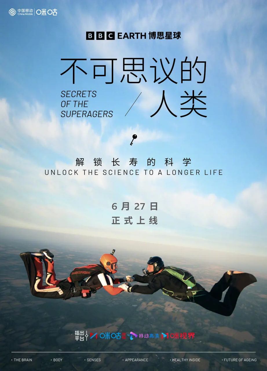 不可思議的人類 第一季(2009)海報