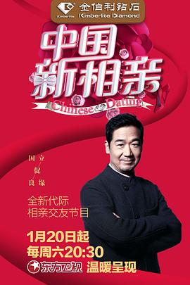 中國新相親第一季(2018)海報