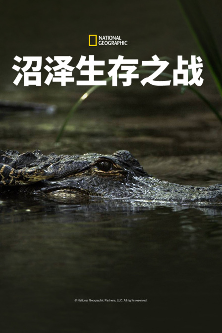 沼澤生存之戰(2025)海報