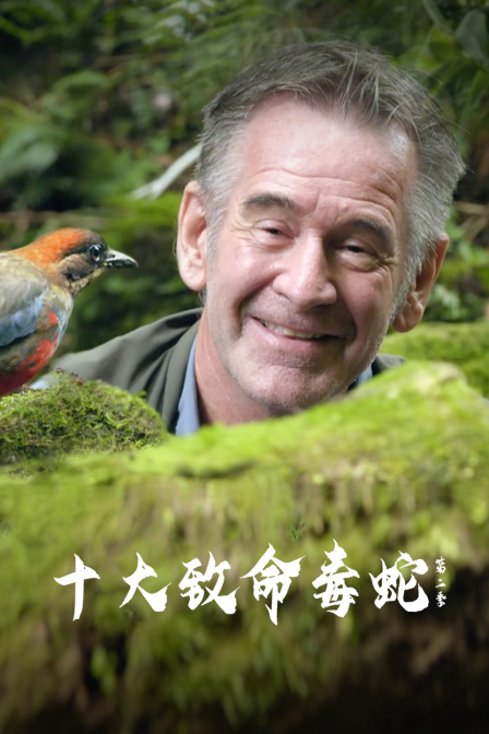 十大致命毒蛇第二季(2024)海報
