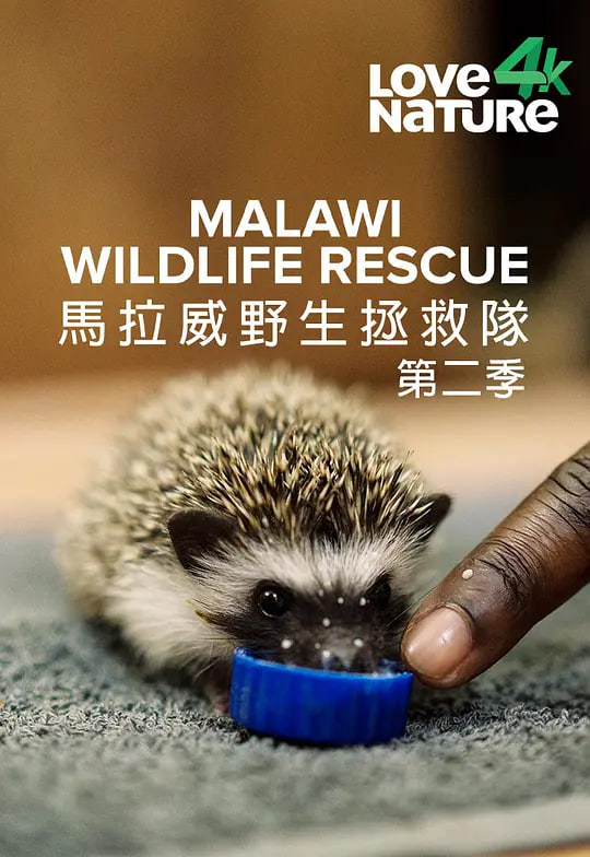 馬拉維野生動物救援 第二季(2022)海報