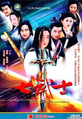 七武士2004(2004)海報