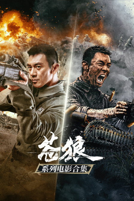 苍狼系列电影合集(2026)海报