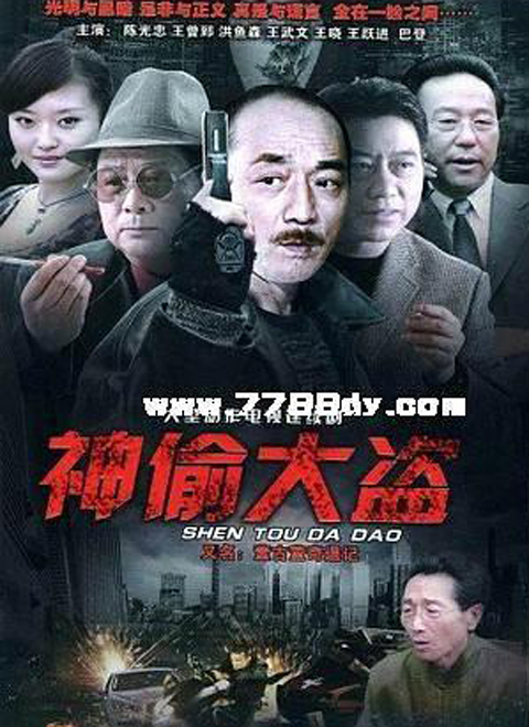 神偷大盜(2011)海報