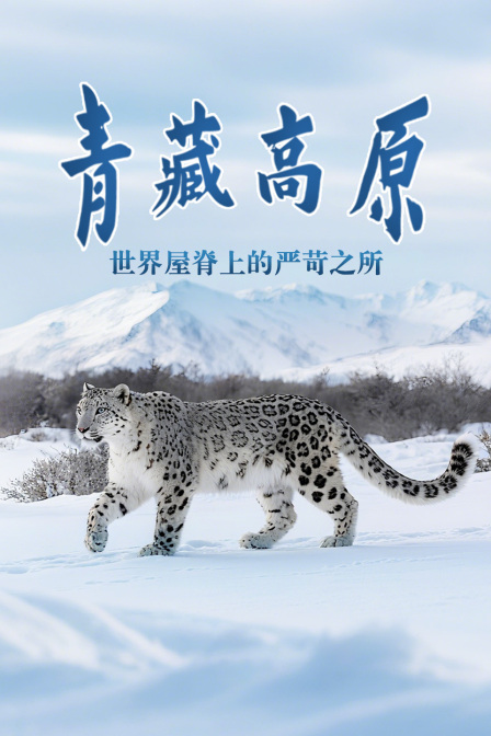 青藏高原:世界屋脊上的嚴苛之所(2025)海報