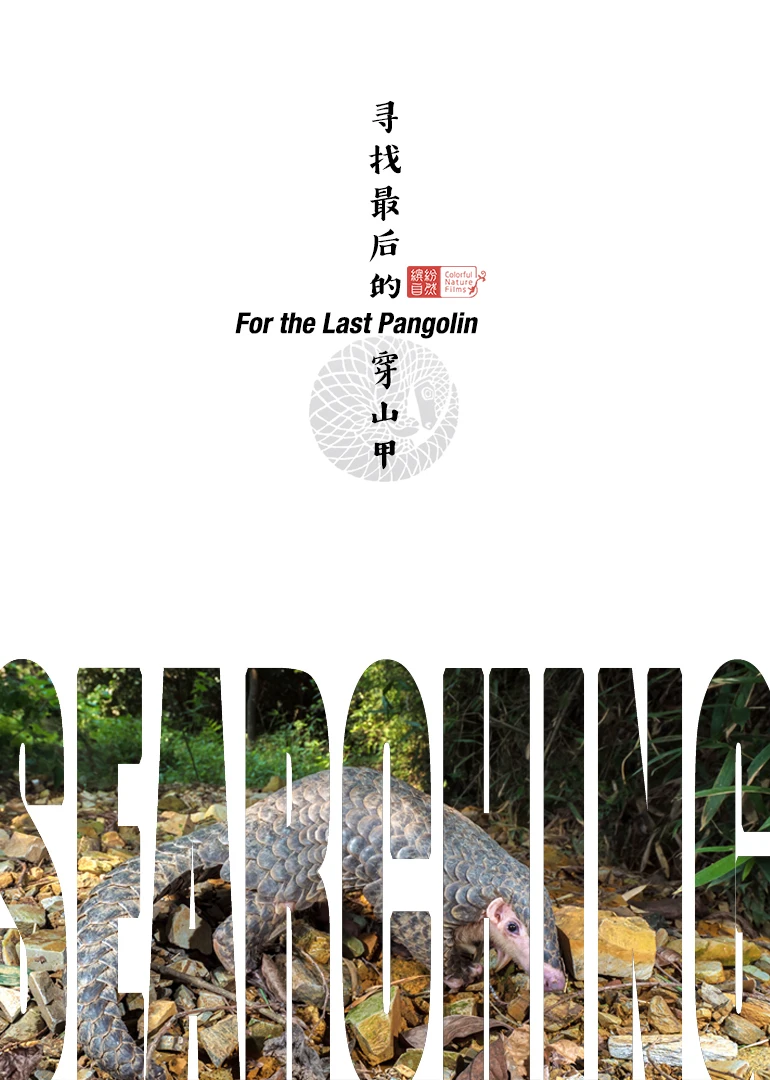 尋找最後的穿山甲(2019)海報