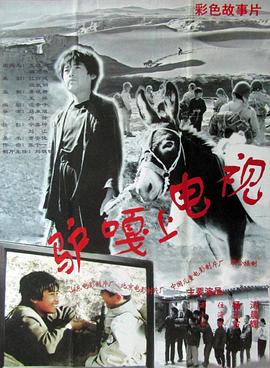 驢嘎上電視(1996)海報
