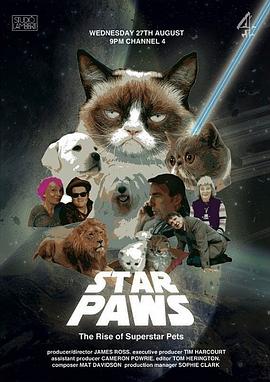 明星猫咪明星宠物的崛起(2014)海报
