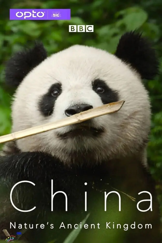 中国:大自然的古老王国 第一季(2021)海报
