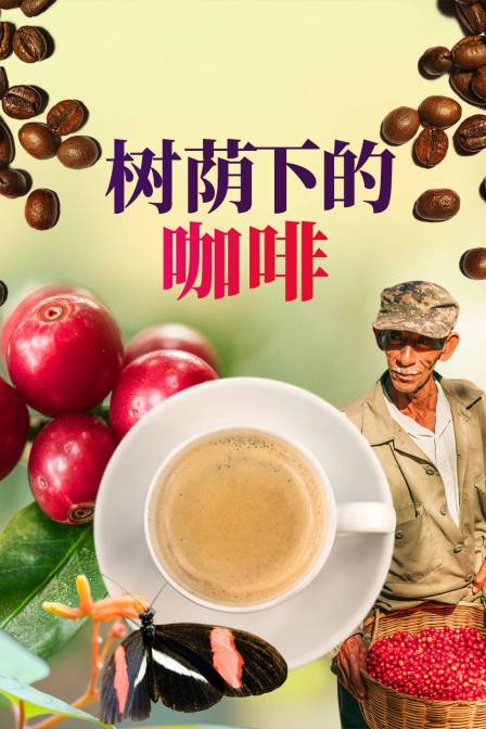 樹蔭下的咖啡(2024)海報