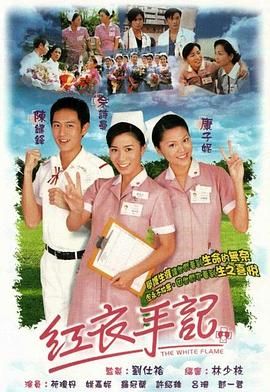红衣手记 粤语版(2002)海报