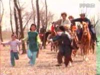 血溅荒原之响马(1993)海报