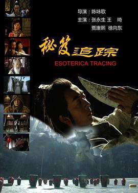 秘笈追踪(2009)海报