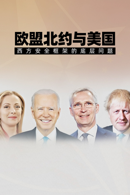 欧盟北约与美国——西方安全框架的底层问题(2025)海报