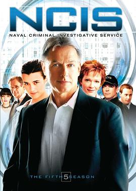海軍罪案調查處第五季(2003)海報